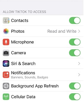 tiktok permissions management