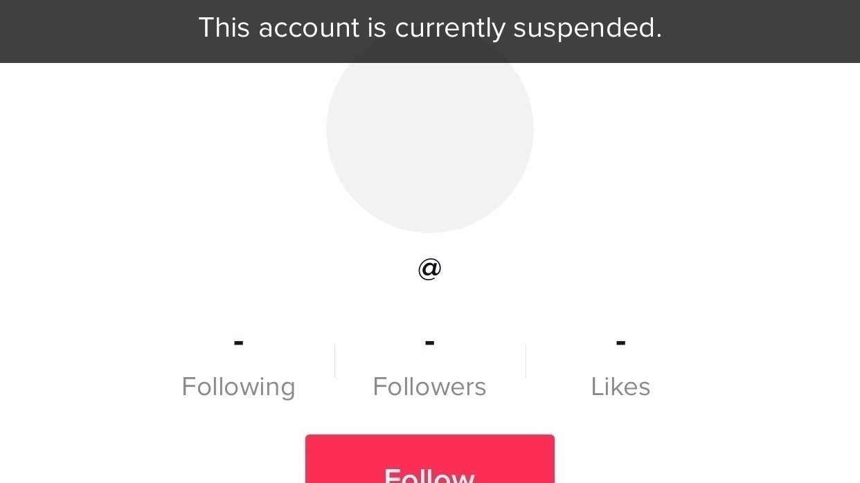 tiktok temporary ban