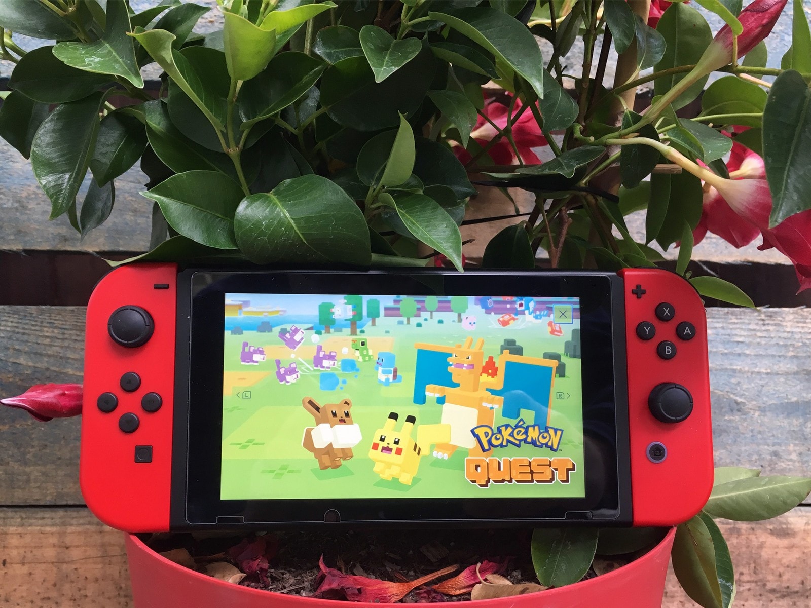 Pokemon Quest Switch 2