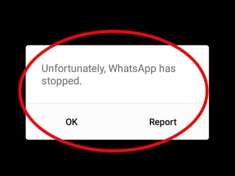 ios 12 whatsapp problems and solutions-WhatsApp Crashing on iOS 12