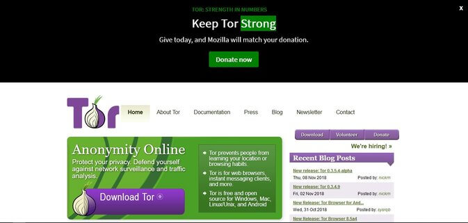 access tor site