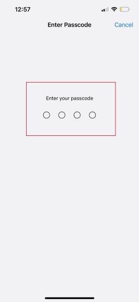 enter password