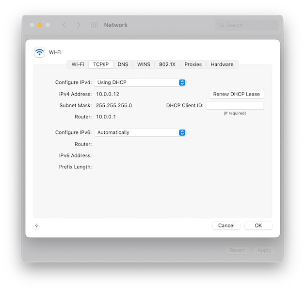 set ipv6 automatically