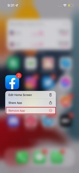 remove ios facebook app