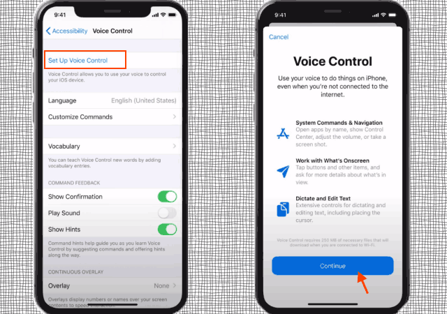 set up voice control