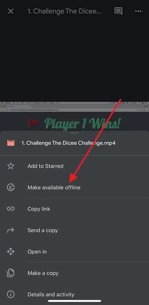 choose make available offline option