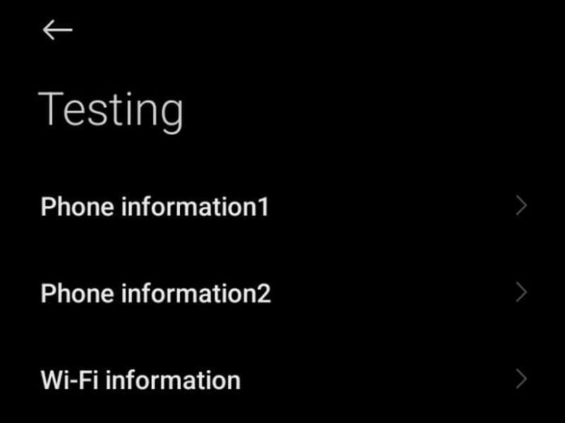 Checking the phone and Wi-Fi information details.