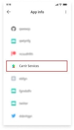 carrier services