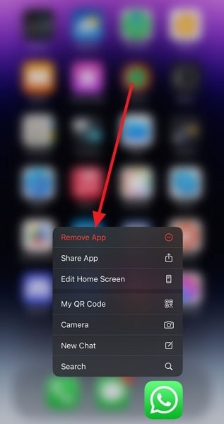 remove the whatsapp app