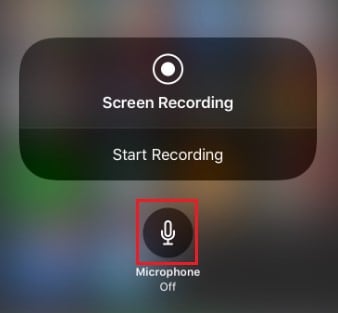 screen record with audio