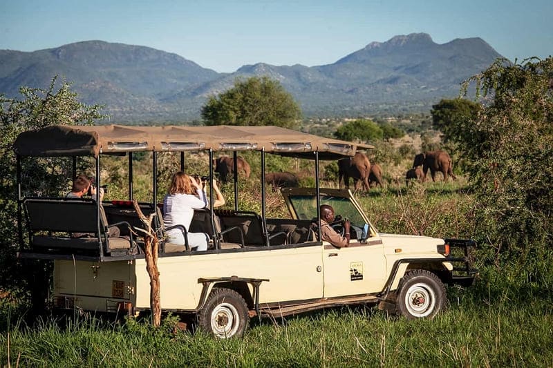 wildlife safari adventure for christmas