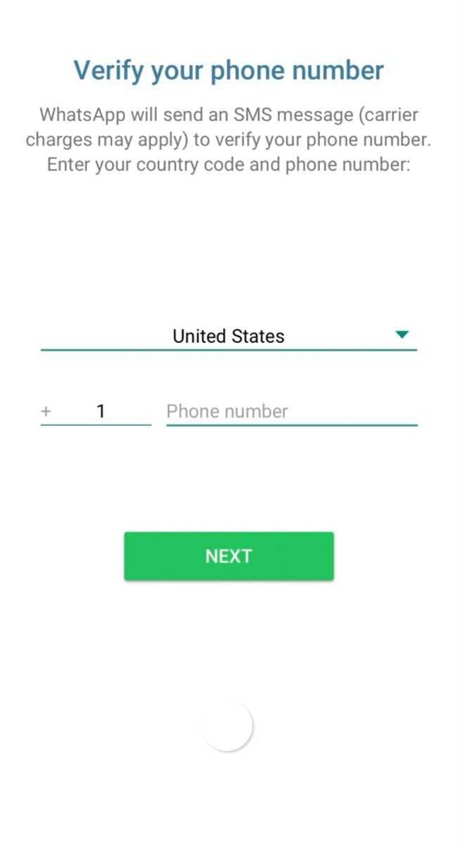 enter whatsapp business phone number