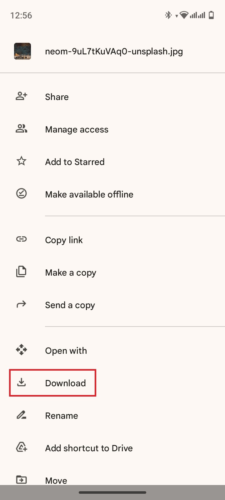 download google drive photo