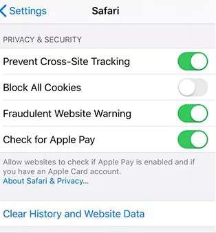 clear caches of safari