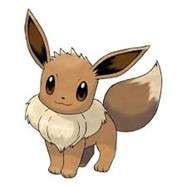 eevee pokemon