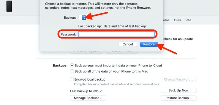 restore option for backup on itunes