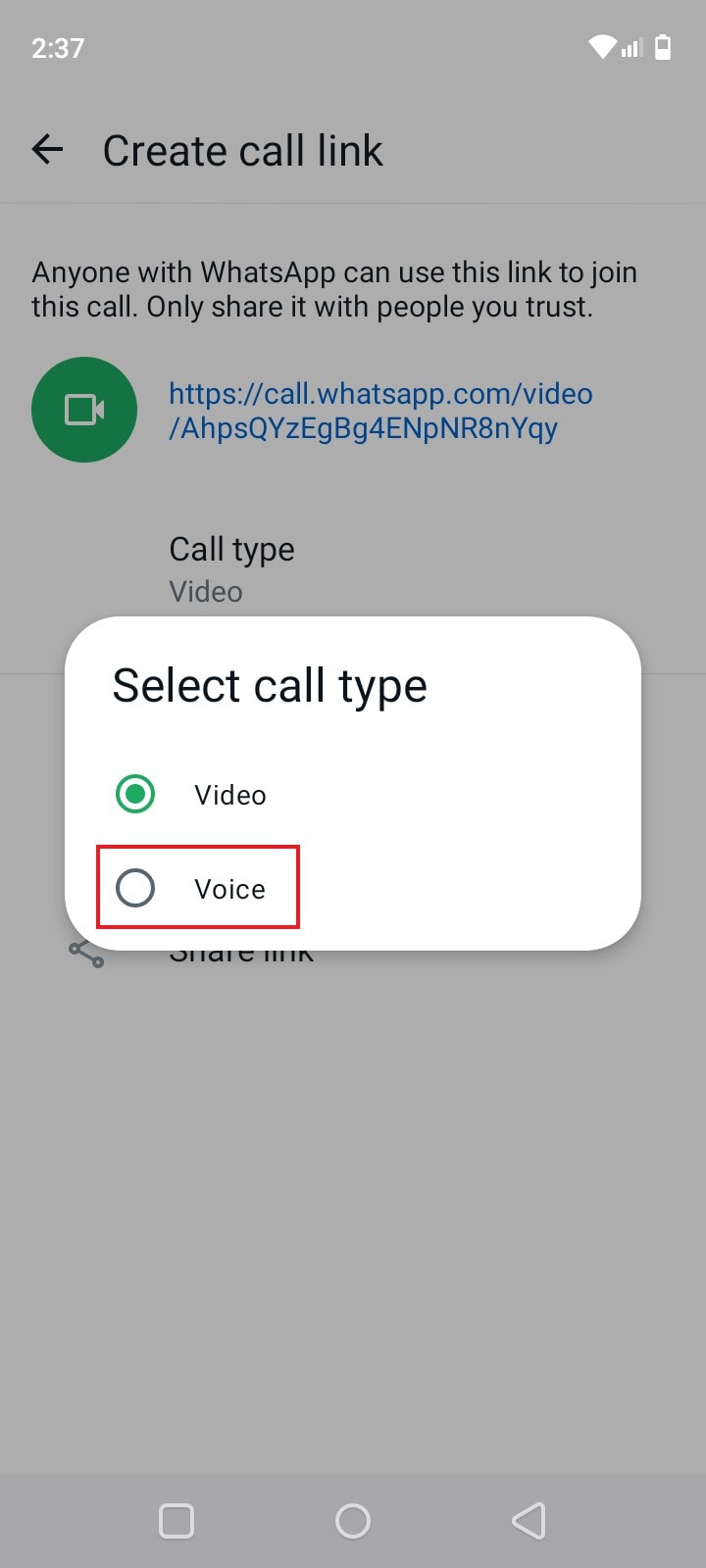 voice call