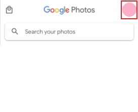 google photos profile