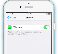 backup whatsapp contacts