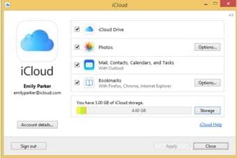 Need to delete iCloud Backup