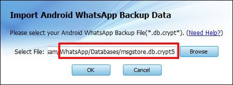 whatsapp backup extractor