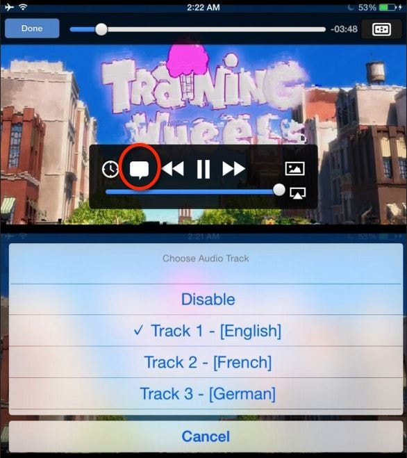 Tips for Using VLC for iPhone - Change Audio Tracks