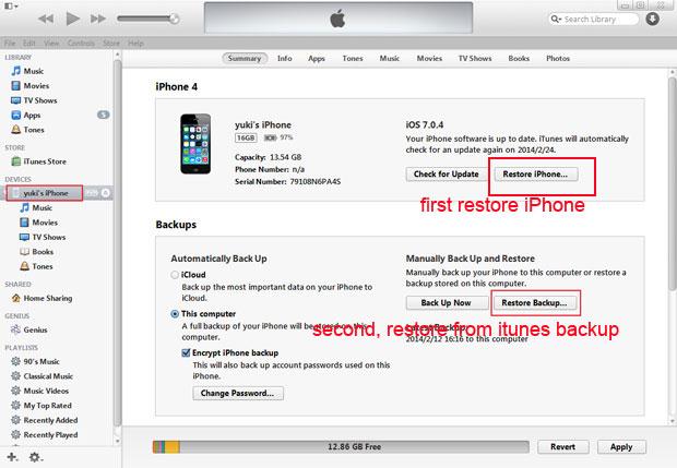 reset iphone lost password