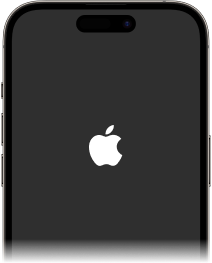 iPhone black screen