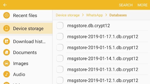 WhatsApp Local Backup